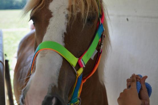 Veronika Sedláková Klatovy 12.8.2018