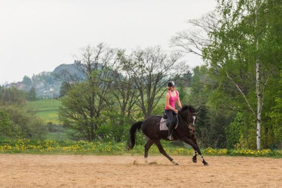 Výcvik jezdců