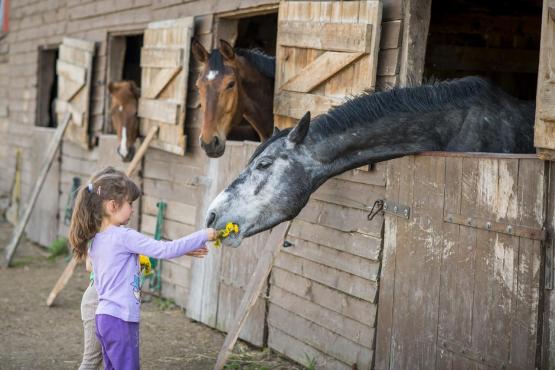 Příměstské tábory
