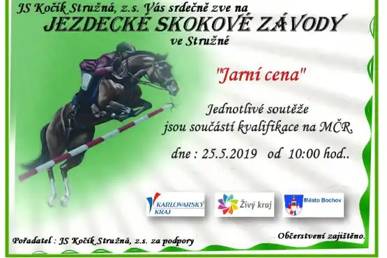 JS Kočík